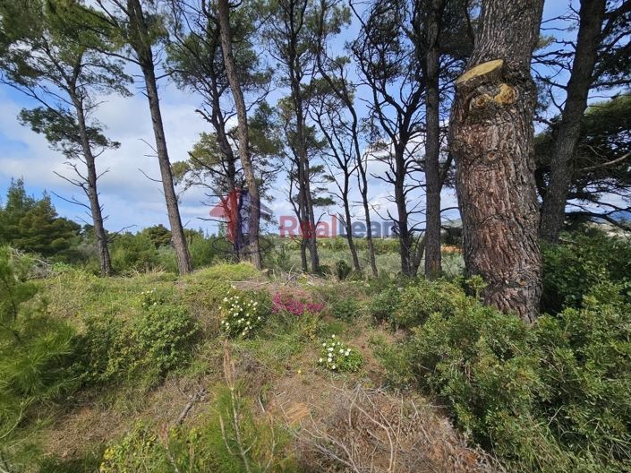 Image No.4-Propriété à vendre à Alonnisos