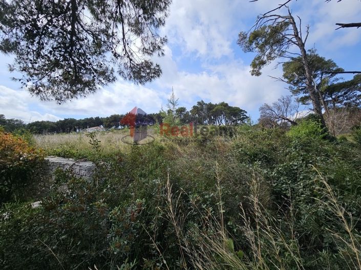 Image No.5-Propriété à vendre à Alonnisos