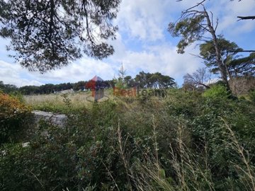 img5e35de28-553d-45cb-b74e-8378b4660dc6