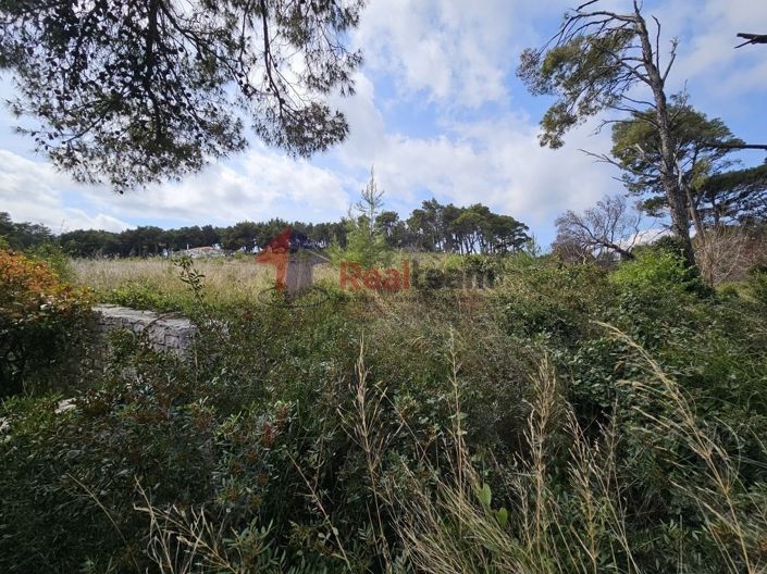 Image No.6-Propriété à vendre à Alonnisos