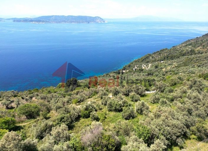 Image No.10-Propriété à vendre à Glossa