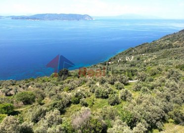 img0fc05c60-71dd-4ba7-bae1-6983046801c9