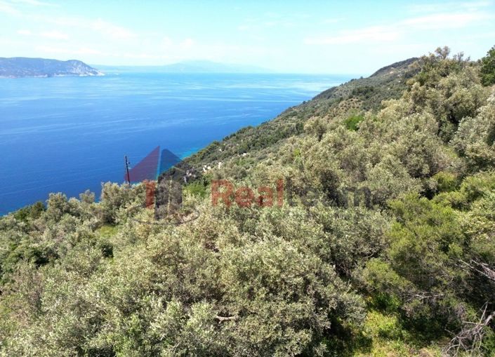 Image No.11-Propriété à vendre à Glossa