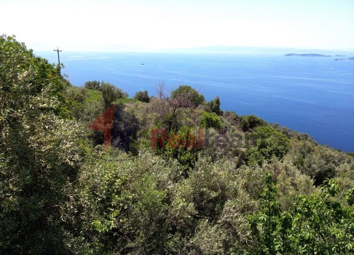 Image No.13-Propriété à vendre à Glossa