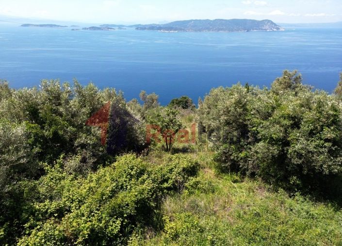 Image No.14-Propriété à vendre à Glossa