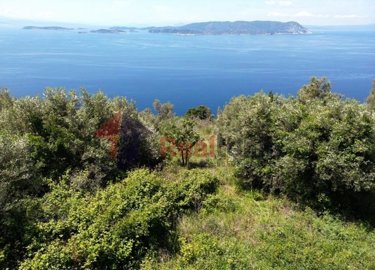 imgcfd6f25a-8985-49b6-8544-7ed5c9d47246