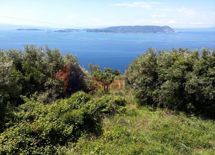 Image No.16-Propriété à vendre à Glossa