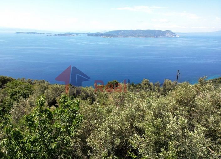 Image No.17-Propriété à vendre à Glossa