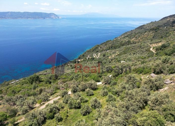 Image No.19-Propriété à vendre à Glossa