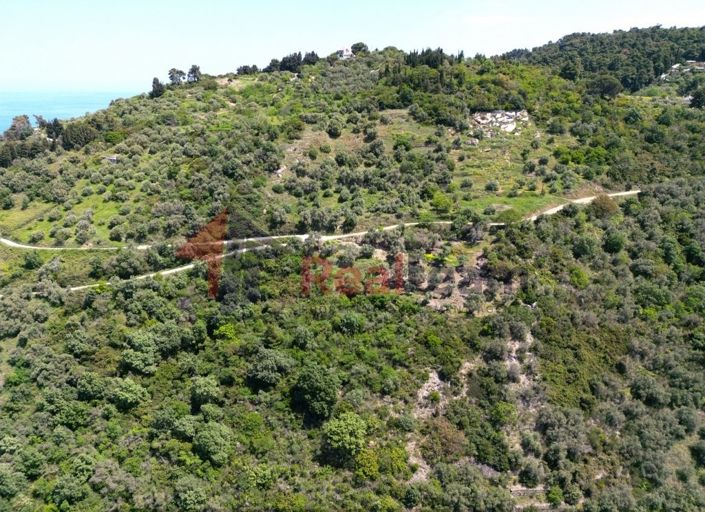 Image No.20-Propriété à vendre à Glossa