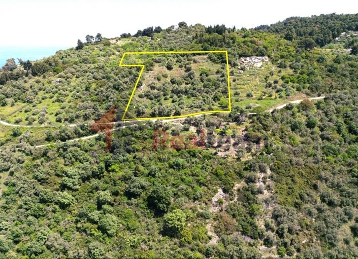 Image No.4-Propriété à vendre à Glossa