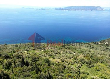 imgaf01b350-9599-4bbb-809e-46cbf2a9f28c