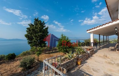 img2b16917f-86ac-42e6-afd4-eab06e2a12f5