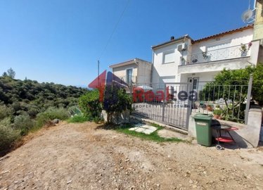 img7d7ff4d7-5ab0-49be-868e-250311ff5a60