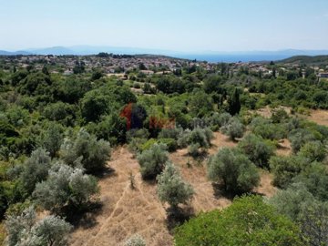 img31dbb3b5-e7e1-493b-b038-bebd579c4d92