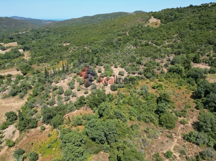 Image No.11-Propriété à vendre à Argalasti