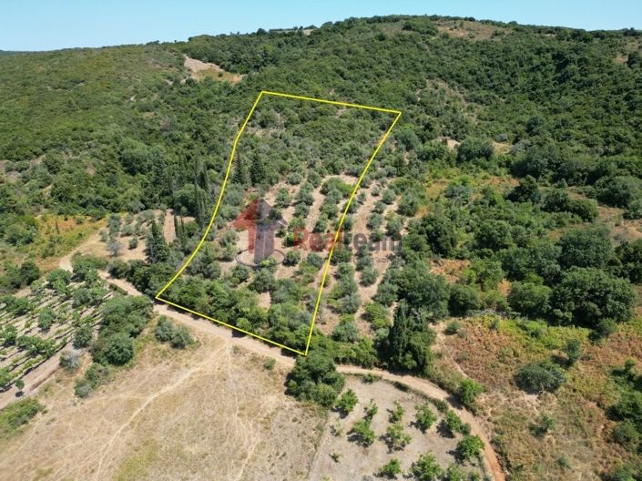 Image No.2-Propriété à vendre à Argalasti