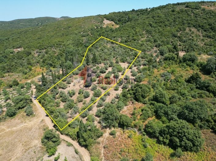 Image No.3-Propriété à vendre à Argalasti