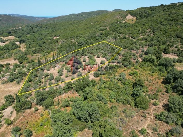 Image No.4-Propriété à vendre à Argalasti