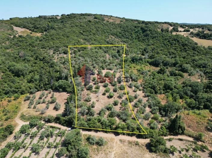 Image No.5-Propriété à vendre à Argalasti