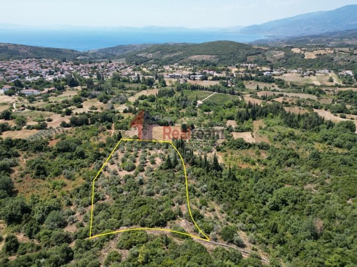 Image No.7-Propriété à vendre à Argalasti