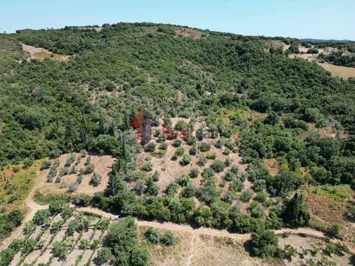 Image No.8-Propriété à vendre à Argalasti