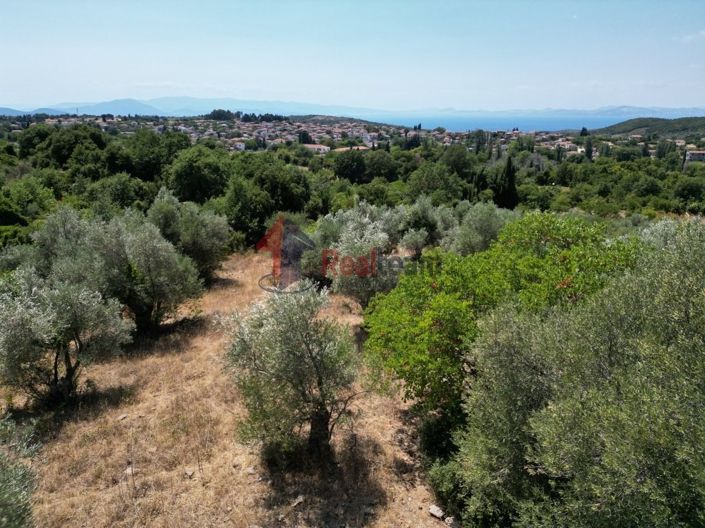 Image No.9-Propriété à vendre à Argalasti