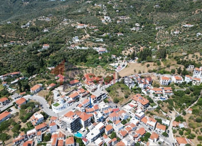 Image No.2-Propriété de 1 chambre à vendre à Chora