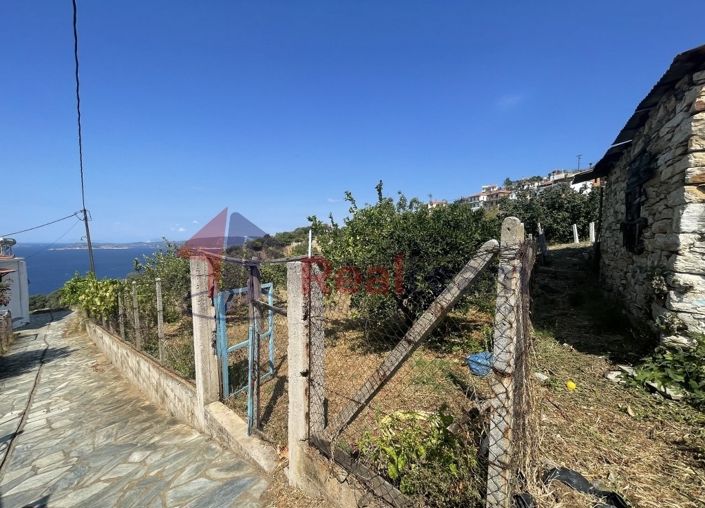 Image No.10-Propriété à vendre à Glossa