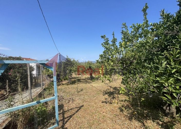 Image No.14-Propriété à vendre à Glossa