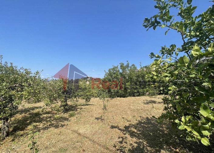 Image No.15-Propriété à vendre à Glossa