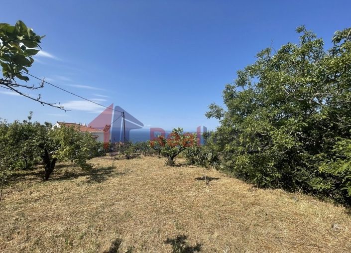 Image No.18-Propriété à vendre à Glossa