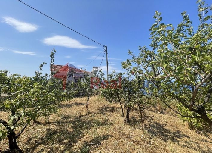 Image No.22-Propriété à vendre à Glossa