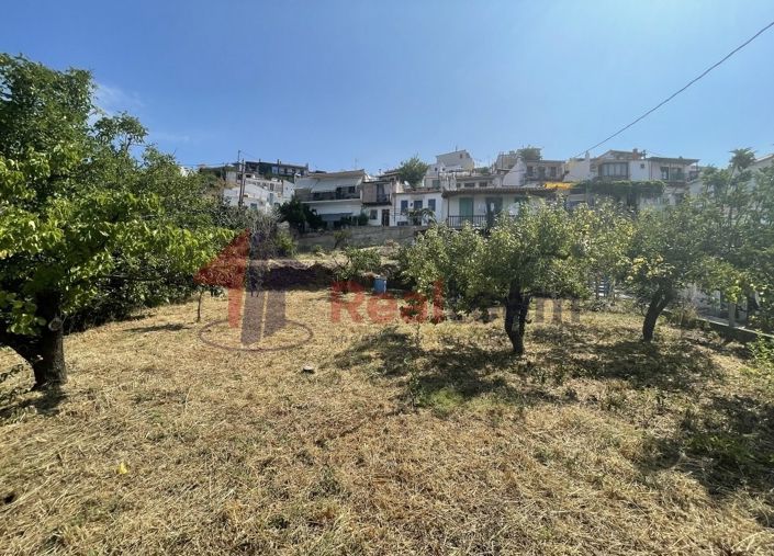 Image No.23-Propriété à vendre à Glossa