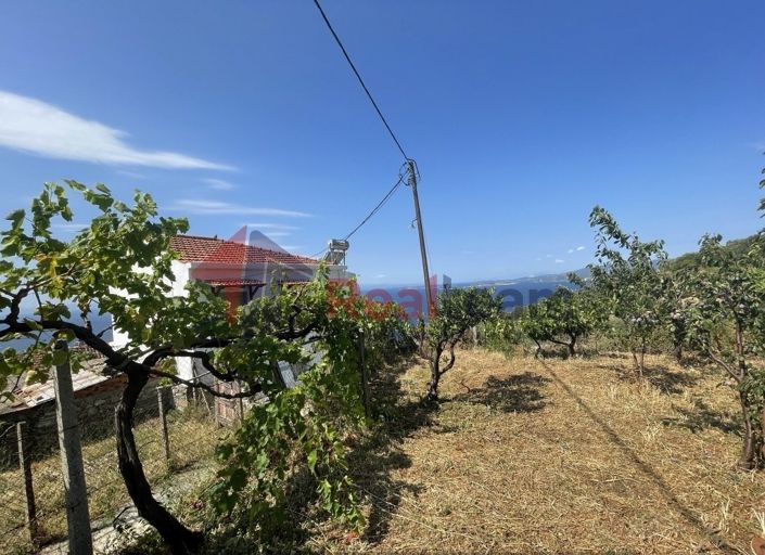 Image No.24-Propriété à vendre à Glossa