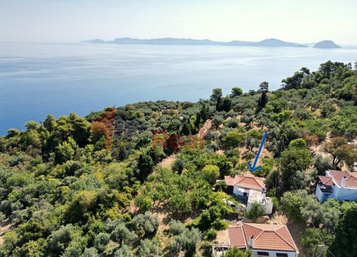 Image No.2-Propriété de 1 chambre à vendre à Skopelos