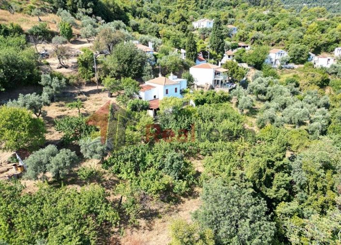 Image No.3-Propriété de 1 chambre à vendre à Skopelos