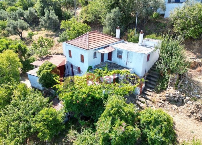 Image No.4-Propriété de 1 chambre à vendre à Skopelos