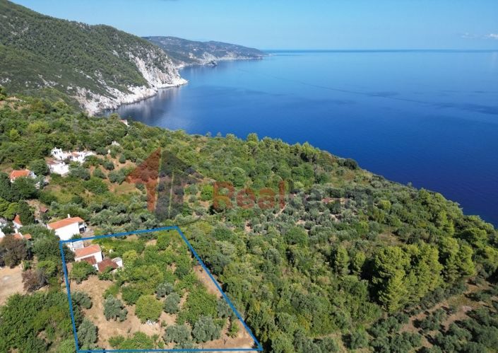 Image No.5-Propriété de 1 chambre à vendre à Skopelos