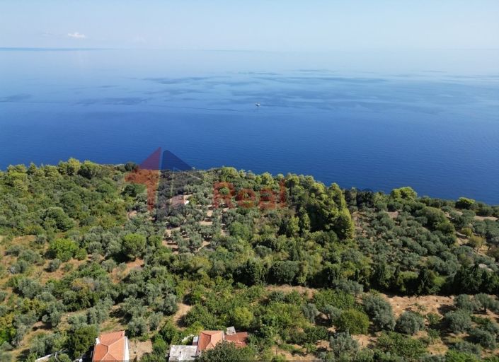 Image No.6-Propriété de 1 chambre à vendre à Skopelos
