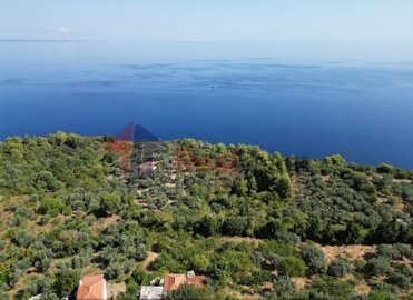 imgf04ad12d-00cf-4458-bf13-5f1b811de19b