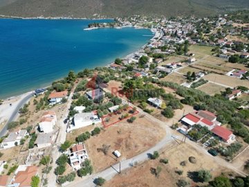 imgc92039e7-b726-4173-a15b-881aab6a3393