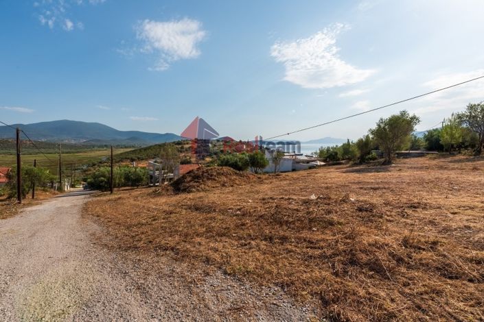 Image No.10-Propriété à vendre à Pteleos