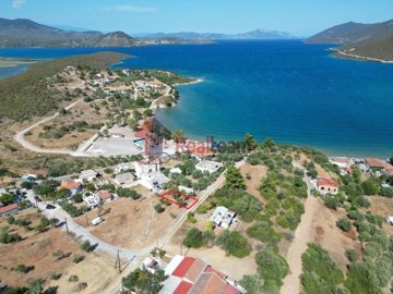 imge6cc0367-3cdc-4623-9585-484d332e437c