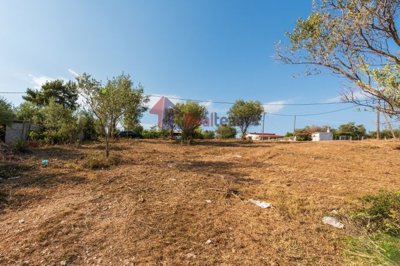 img5111c1d9-6a98-43aa-8b84-4540b4d8ce0c