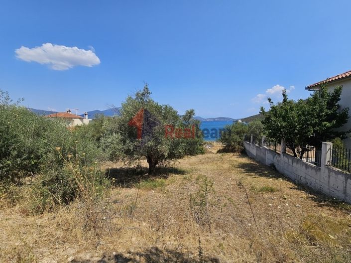 Image No.17-Propriété à vendre à Pteleos