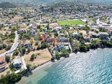 img4434ed1f-8772-4a7c-be9f-6a2df6495061