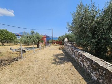 img441e012b-3134-4806-8b17-b7508aa5f902