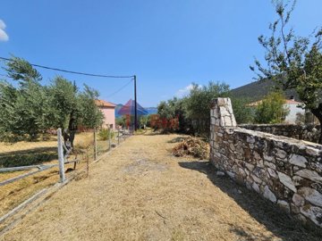 imgbfd2ca49-13ba-47ae-be98-d690bdee39e3