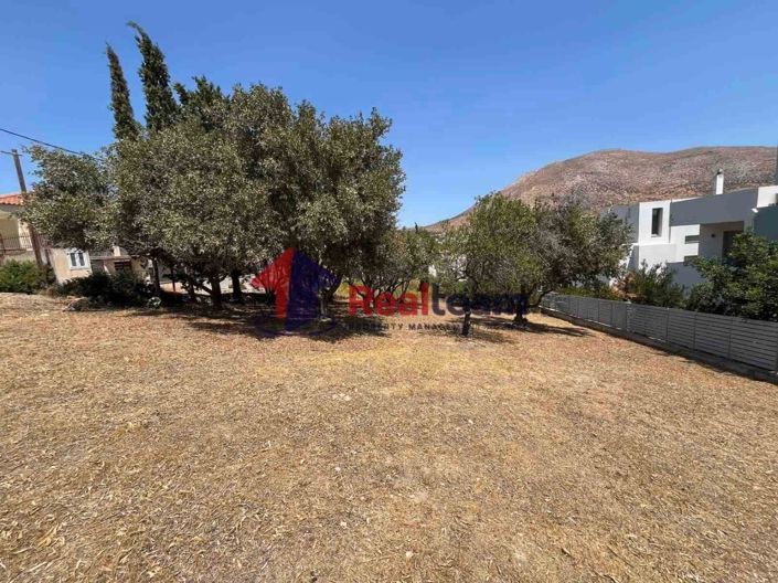 Image No.10-Propriété à vendre à Lagonisi